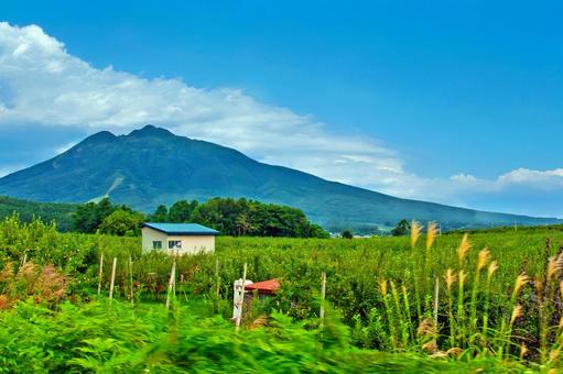 津軽富士に抱かれた緑豊かな夏の弘前 岩木山,弘前,青森の写真素材