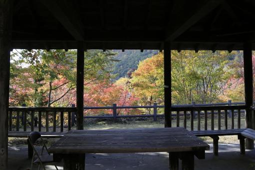 紅葉山公園の写真