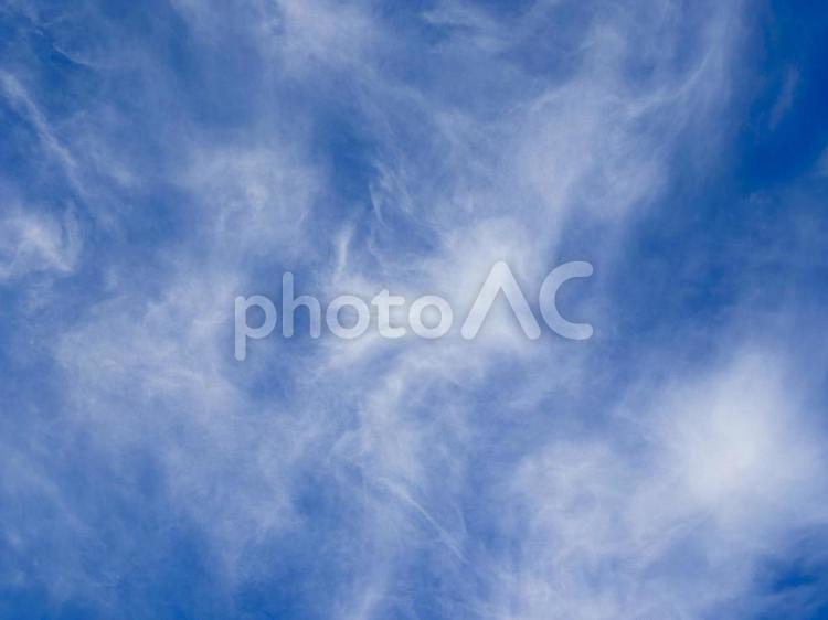 【風景写真】夏空 夏空,空,雲の写真素材