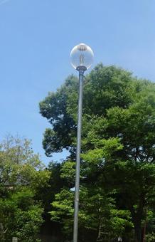 街灯 街灯 街灯,公園,電球の写真素材