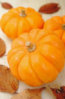 ハロウィン カボチャ ハロウィン カボチャ ハロウィン,ペポカボチャ,カボチャの写真素材