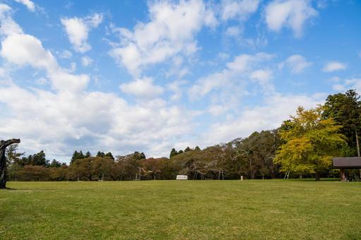 秋の公園⑷ 公園,秋,紅葉の写真素材