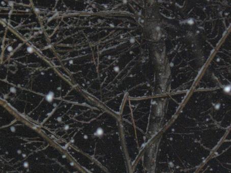 夜の雪のボケ背景-10 夜の雪のボケ背景-10の写真