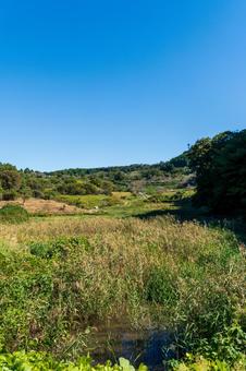 静岡県菊川市　千框(せんがまち)の棚田 日本,静岡県,菊川市の写真素材
