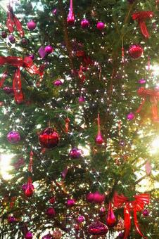 クリスマスの電飾が輝いている風景 クリスマスの電飾が輝いている風景 クリスマス,電飾,輝きの写真素材