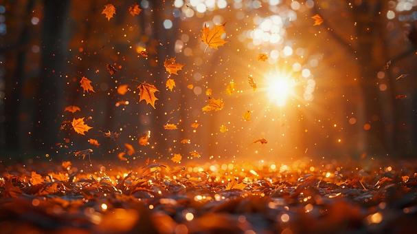 紅葉が降り注ぐ秋の風景 紅葉が降り注ぐ秋の風景の写真