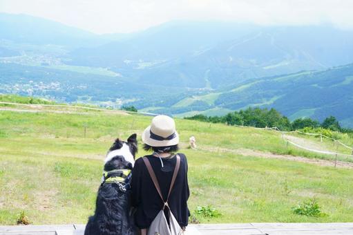ペットとおでかけ ペット,犬,中型犬の写真素材