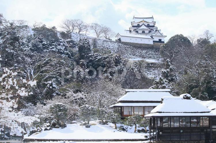 滋賀県彦根市の玄宮園から見える国宝彦根城の天守閣と雪景色です 彦根城,冬,雪の写真素材