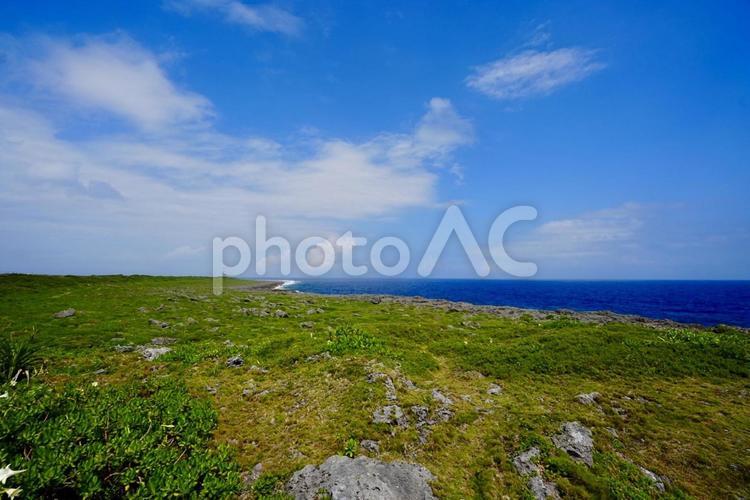 日本最南端の草原 波照間,波照間島,島の写真素材