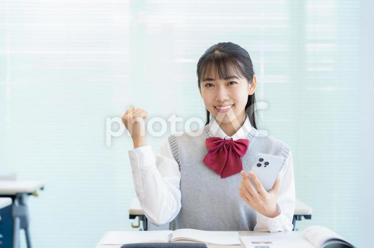 学校で勉強をする女子高生 教育,塾,勉強の写真素材