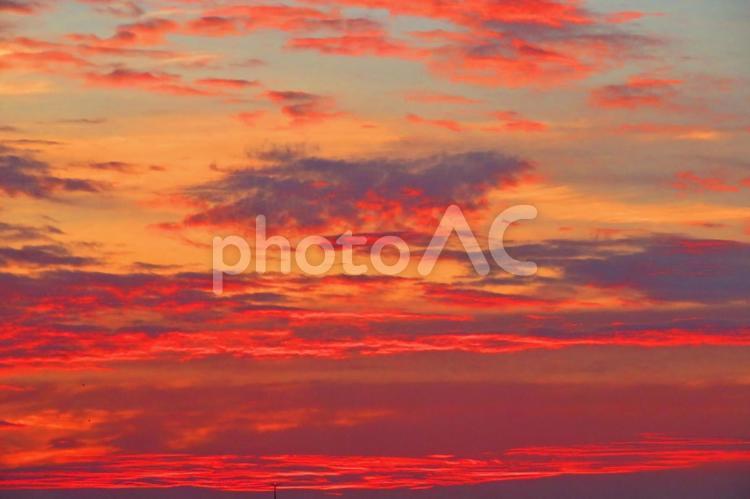 ７月下旬の野田池からの朝焼け 背景,朝焼け,たそがれの写真素材