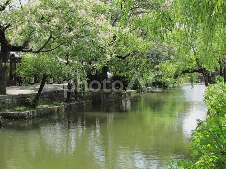 【風景写真】倉敷の風景 倉敷市,街並み,観光地の写真素材