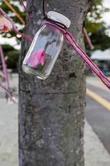 ガーデニングの小物⑴の写真