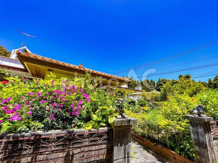 沖縄らしい風景　備瀬の集落 備瀬,集落,原風景の写真素材