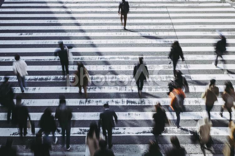 横断歩道を渡る人々 横断歩道,人物,道路の写真素材
