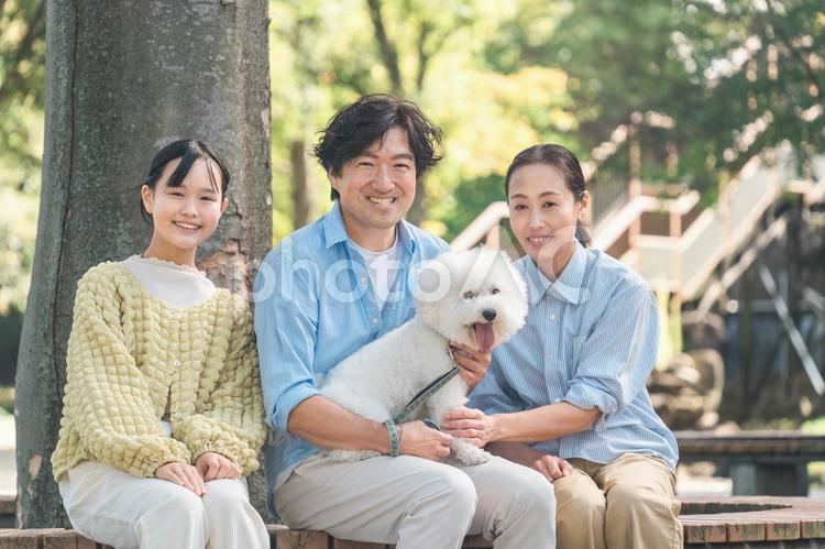 ペットを飼う家族・愛犬家・犬を飼う飼い主 犬,ペット,家族の写真素材