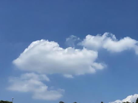 空に雲 空に雲の写真