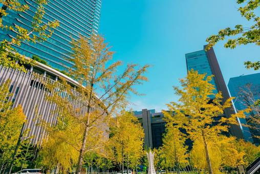 【大阪】大阪駅の街並み 大阪,梅田,タワーの写真素材