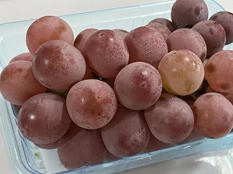 ぶどう 安芸クイーン ぶどう 安芸クイーン ぶどう,果物,グレープの写真素材