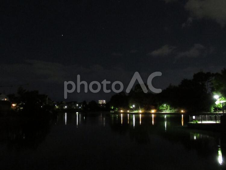 初夏の夜、池のほとりに映える外灯の明かり 夜景,外灯,水面の写真素材