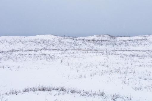 雪に覆われた原野の幻想風景 雪に覆われた原野の幻想風景の写真