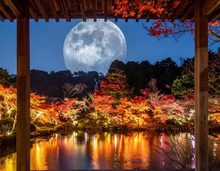中秋の名月 中秋の名月の写真