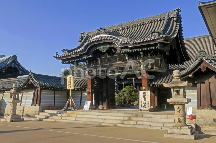 大阪・八尾 近松山 顕証寺 表門・築地塀 顕証寺,寺社,寺院の写真素材