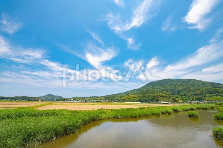 田舎の水辺から眺める風景 田舎,農業,水辺の写真素材