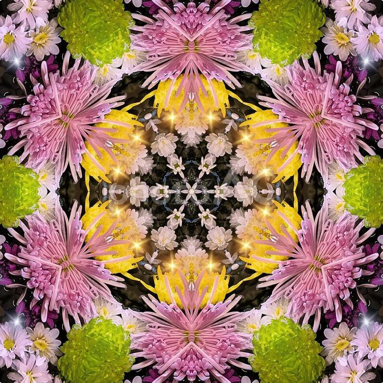 菊万華鏡 菊,万華鏡,曼荼羅の写真素材