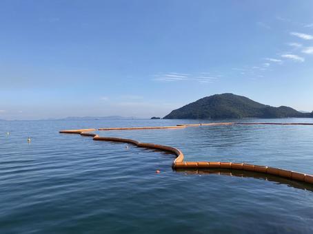 春の鞆の浦にて 春の鞆の浦にての写真