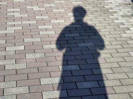 神田川11月：遊歩道の影 2024の写真