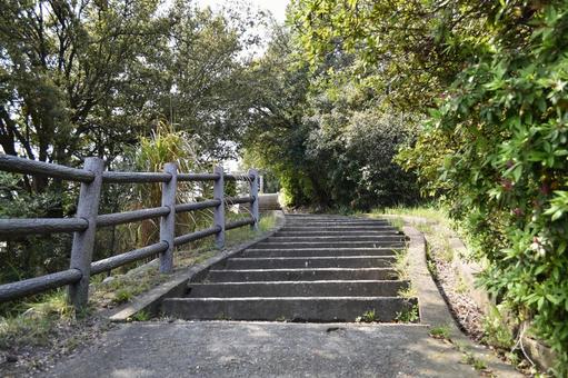 山の階段 山の階段の写真