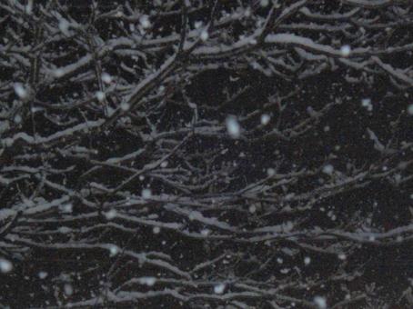 夜の雪のボケ背景-21 夜の雪のボケ背景-21の写真
