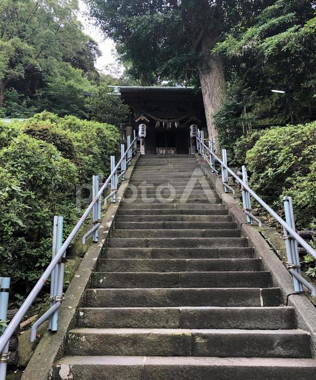 走水神社の階段 走水神社,横須賀,階段の写真素材