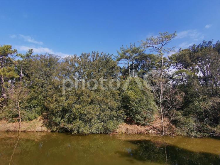 大仙古墳　仁徳天皇陵 大仙古墳,仁徳天皇陵,前方後円墳の写真素材
