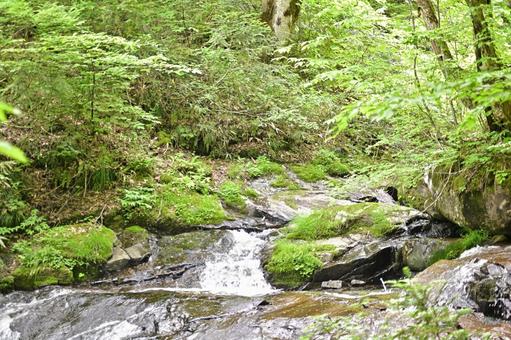 Fresh greenery and clear streams, utsue forty-eight waterfall, gifu prefecture, takayama city, JPG
