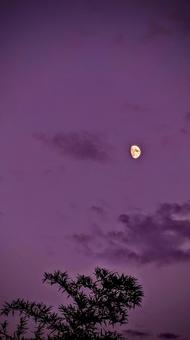 紫の夜空と月 紫の夜空と月の写真