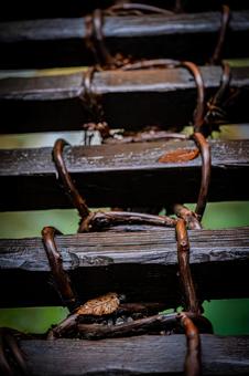 四国　徳島　祖谷のかずら橋 祖谷のかずら橋,四国,四国地方の写真素材