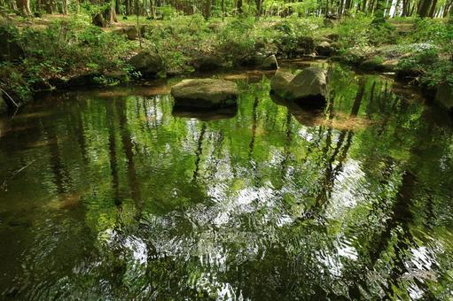 天平の丘公園の池 天平の丘公園,池,森林の写真素材