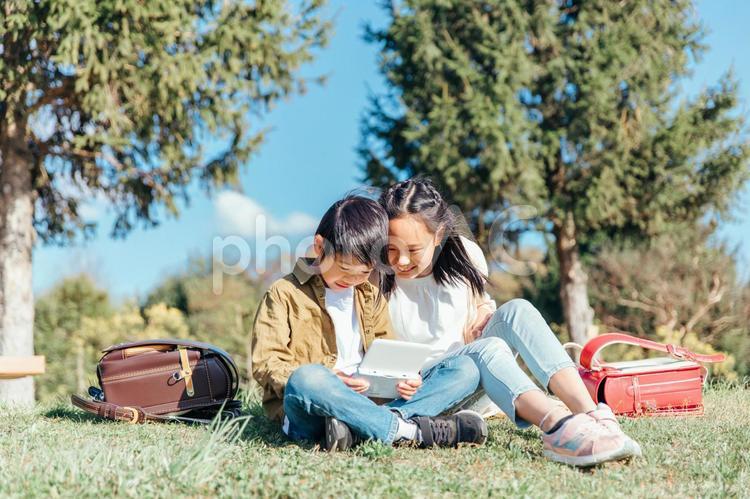 ゲームをする小学生 ゲーム,子供,オンラインゲームの写真素材