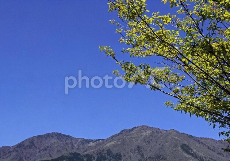 遠い山、青空、樹木 青空,大空,空間の写真素材