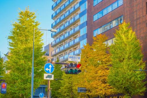 Autumn at Honmachi 4-chome intersection, ginkgo, ginkgo biloba, intersection, JPG