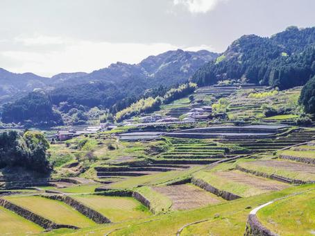 【長崎県】波佐見町・鬼木の棚田 【長崎県】波佐見町・鬼木の棚田 鬼木の棚田,棚田,波佐見町の写真素材