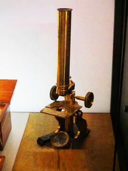 microscope microscope