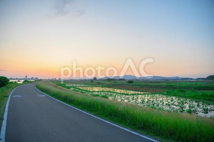 夕暮れの帰り道 夕暮れ,道,道路の写真素材