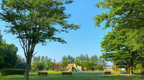 朝の北部公園(金沢市):27 朝の北部公園(金沢市):27 公園,春,夏の写真素材