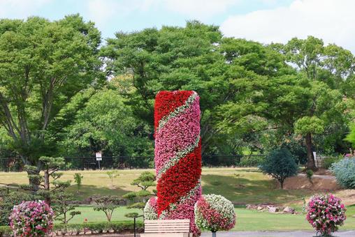 7月中旬のさぬきフラワーガーデンの花 7月中旬のさぬきフラワーガーデンの花の写真