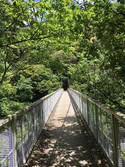 山間部の吊り橋 吊り橋,山,森の写真素材