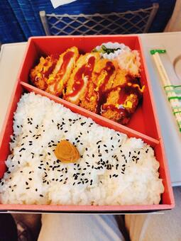 駅弁のとんかつ弁当 弁当,とんかつ,駅弁の写真素材