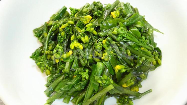 菜の花のお浸し 食材,お浸し,おひたしの写真素材
